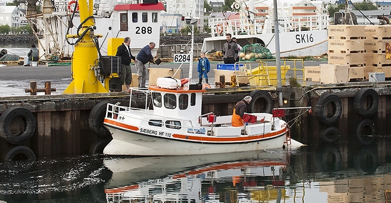 Avlastning av fisk på Island